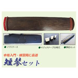 NEO-KOTO輝（ネオ・コト） ネオ箏 新学習指導要領に適した和楽器