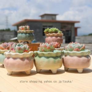 Disney（ディズニー） プランター CAR ミッキーマウス＆ミニーマウス