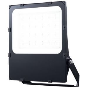岩崎電気 送料無料 岩崎 ECF22101/VWSAN8 (ECF22101VWSAN8 ) LED投光器