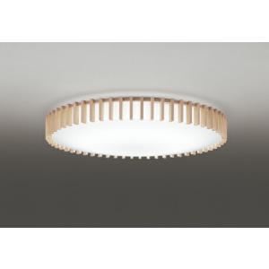 ODELIC（オーデリック） スポットライト 【OS256551R】【OS 256 551R