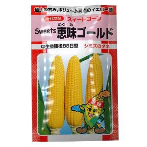 野菜の種/種子 Sweets 恵味ゴールド とうもろこし 約200粒 （メール便