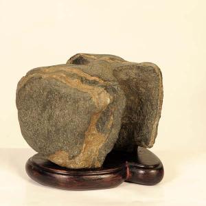 水石：泉州石 ツボ石 現品*資材 せんしゅう : 遊恵盆栽 Yahoo!店