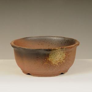 盆栽小鉢：真山（まざん）楕円鉢 13.7cm 【現品】 : 遊恵盆栽 Yahoo!店