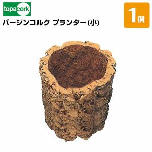 園芸用コルクバージンコルクディスプレイ 特大/（06kg〜1.5kg 7〜12本