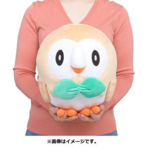 ポケモンセンターオリジナル ぬいぐるみ ドラパルト : 万事屋ほたる