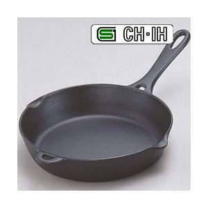 南部鉄器 フライパン24cm IH対応 (南部鉄 岩鋳 日本製 岩手県 盛岡市