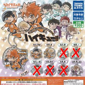 タカラトミーアーツ ぴた！でふぉめ ハイキュー！！ 烏野高校 アクリル