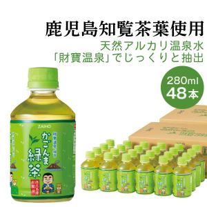 財宝 レモン水 500ml 48本 ペットボトル 24本入2箱 レモン フレーバー