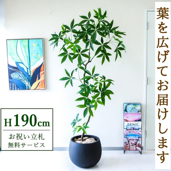 ☆立札無料☆【すぐ飾れる】 フェイクグリーン 人工観葉植物 パキラ