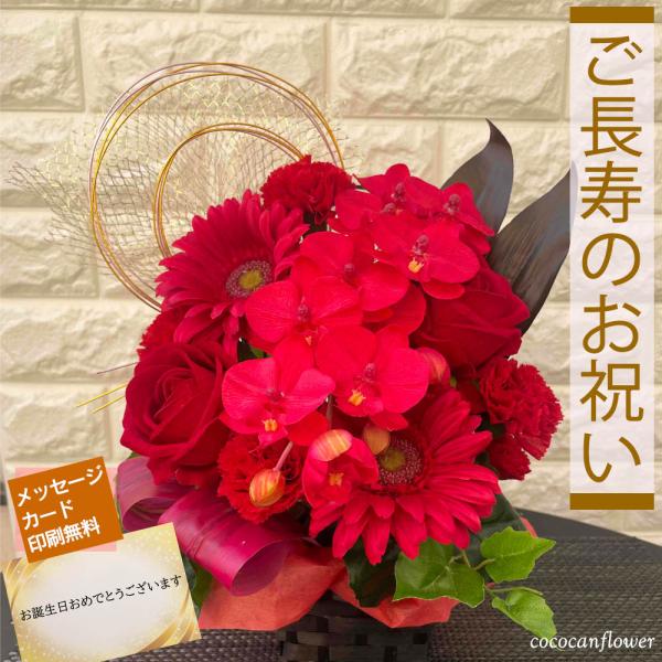 閉店セール☆65％OFF】還暦祝い 胡蝶蘭 アレンジメント 光触媒 赤い花