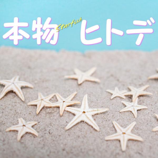 本物のヒトデ ドライヒトデ 1〜3cmくらい 20〜30個前後 海のヒトデ