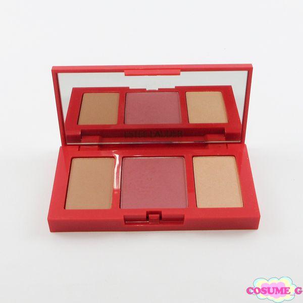 エスティローダー ピュアカラー エンヴィ チーク パレット 残量多 V976