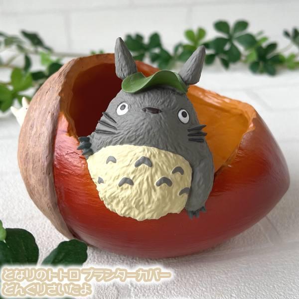 スタジオジブリ となりのトトロ プランターカバー どんぐりさいたよ