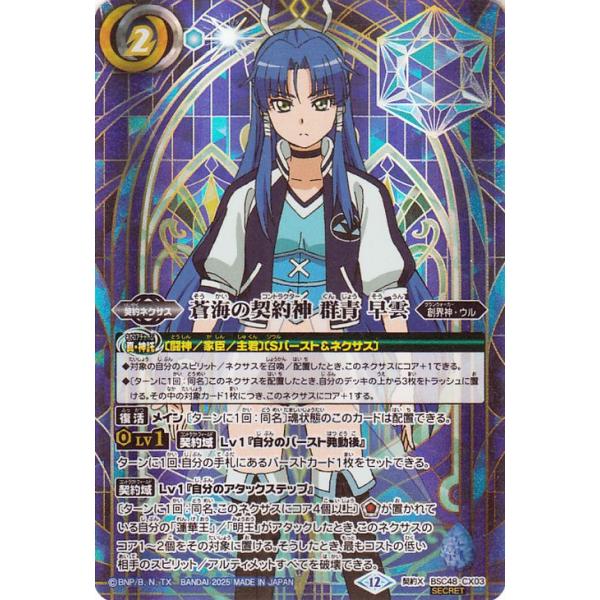 card-museum_bsc48-cx03-si