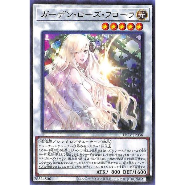 card-museum_liov-jp036-r