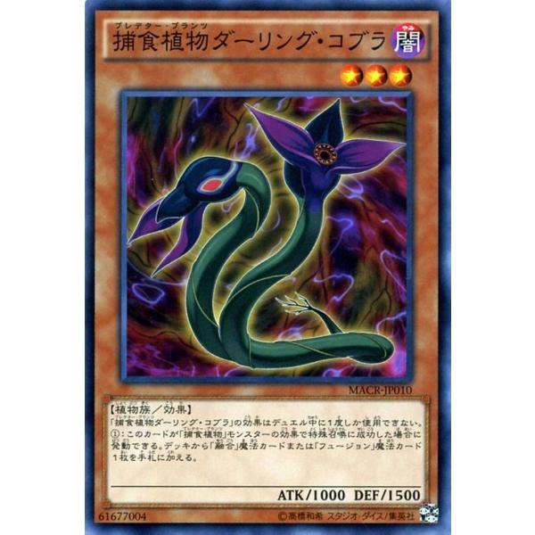 card-museum_macr-jp010-n