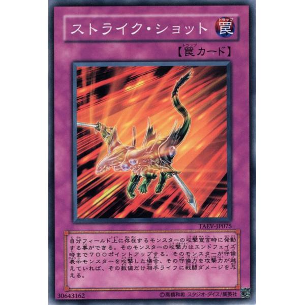 card-museum_taev-jp075-n