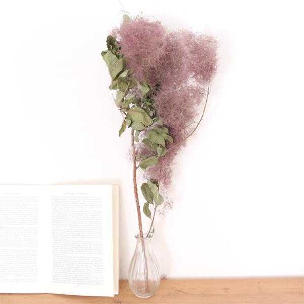 スモークツリー 1本 | ドライフラワー 花材 ロング 国産 送料無料