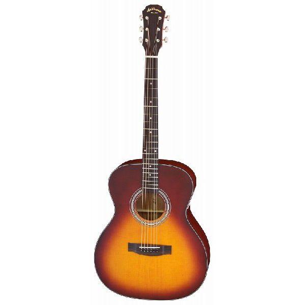 アリア Dreadnought AF-201 [TS] (アコースティックギター) 価格比較