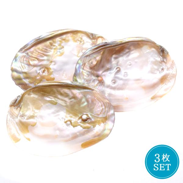 お買い得3枚セット】イケチョウ貝 パールシェル 天然真珠貝殻 浄化