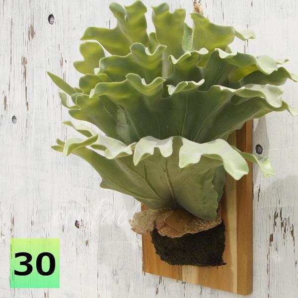 フェイクグリーン ハンギング 大型 壁掛け コウモリラン（ビカクシダ