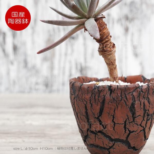 陶器鉢 植木鉢 底穴あり アース 茶 L φ10cm 日本製 園芸鉢 観葉植物