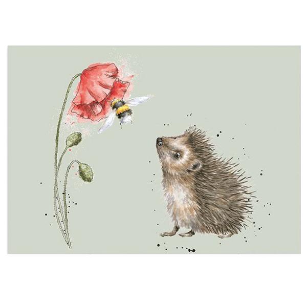 ポストカード Busy as a Bee / ハリネズミ グリーティング 英国製