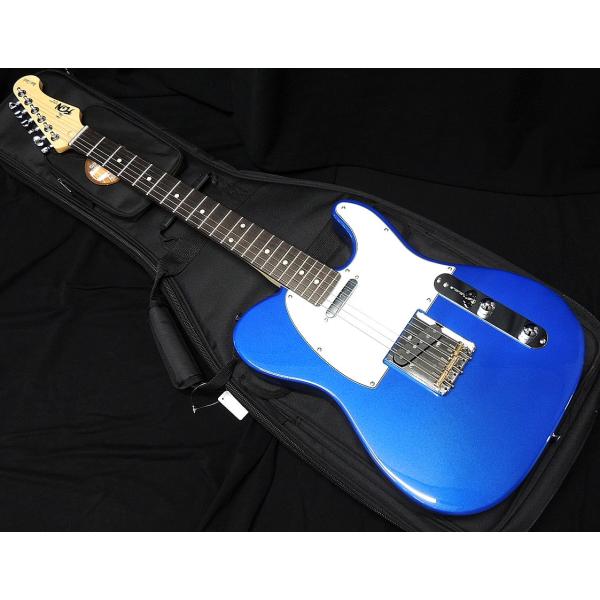 FUJIGEN（フジゲン） FGN FUJIGEN BCTE100RBD MBL テレキャスター