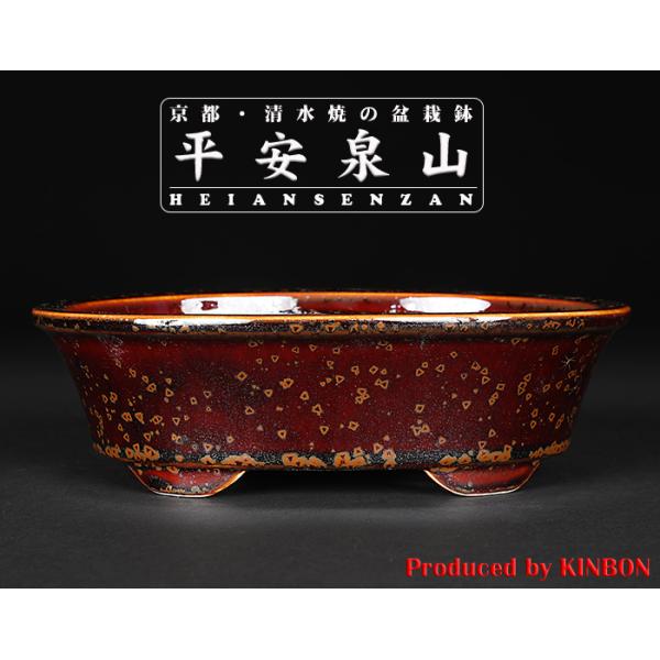 盆栽鉢 植木鉢 「平安泉山辰砂釉星結晶楕円鉢」 山草鉢 清水焼 京焼