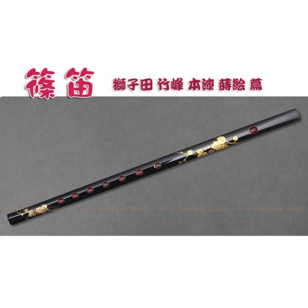 beautiful-music_10004093