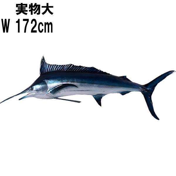 実物大 ブルーマーリン リアル 壁掛け カジキ FRPオブジェ 大きい 魚