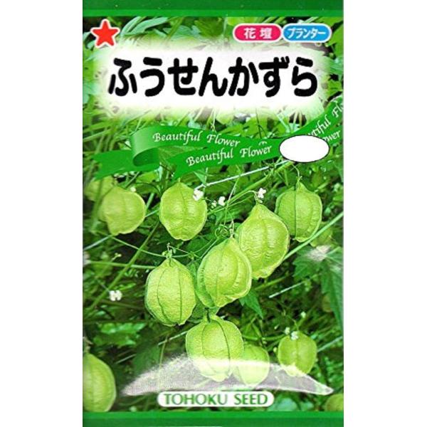 gardeningivy_hanatane-286