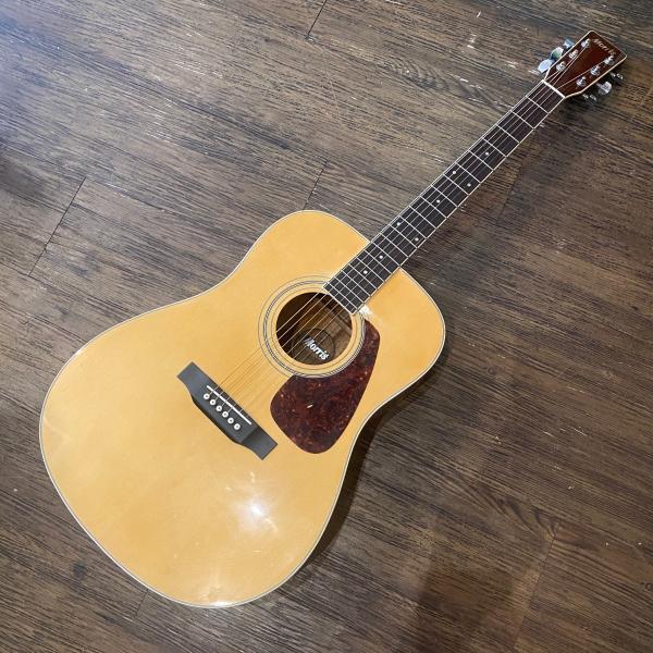 Morris Morris MD-507N Acoustic Guitar アコースティックギター