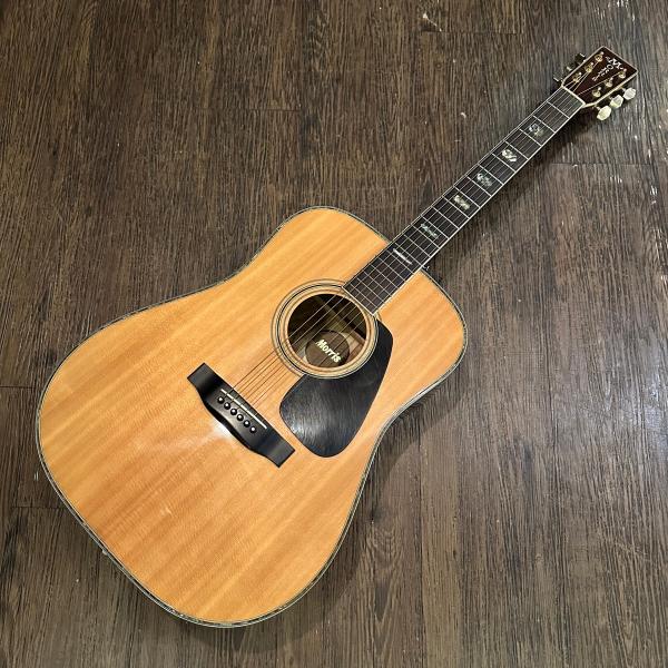 Morris Morris TF-801 Acoustic Guitarアコースティックギター
