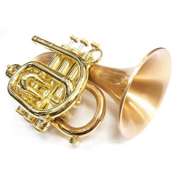 Carol Brass（キャロルブラス） ポケットトランペット N3000GB Satin