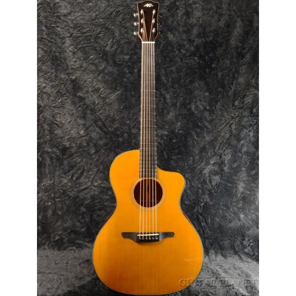 guitarplanet_vg-vg-00ce-