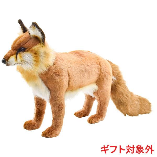 HANSA BH4699 アカギツネ キツネ きつね 狐 ぬいぐるみ リアル : Dear