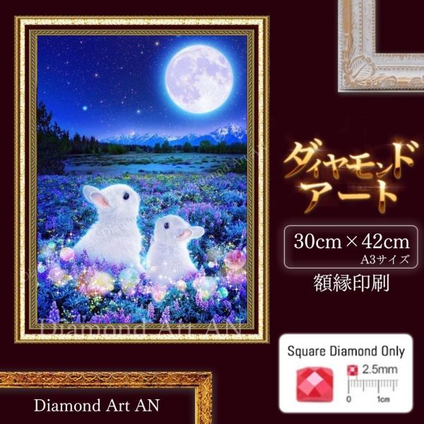 diamondart-an_diamondart-gp407