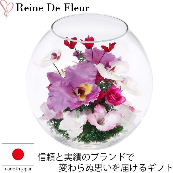 レンデフロール カトレア 胡蝶蘭 シクラメン グラジオス ドライ