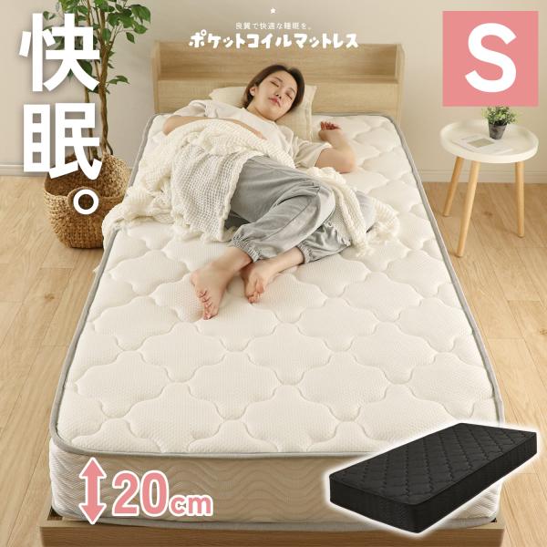 freelife_sg-mres02-97195