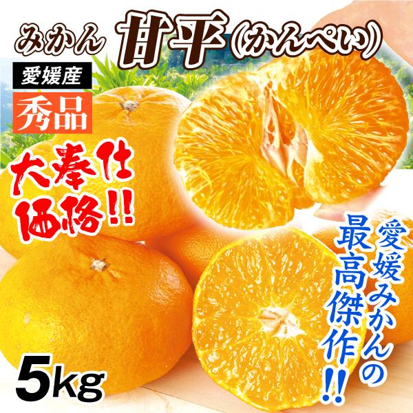 みかん 5kg 甘平 秀品 愛媛産 大特価 かんぺい カンペイ ミカン 送料