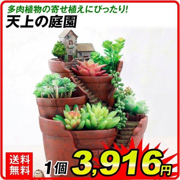 鉢 植木鉢 ポリ製 多肉植物 寄せ植え かわいい プチオアシス・天上の