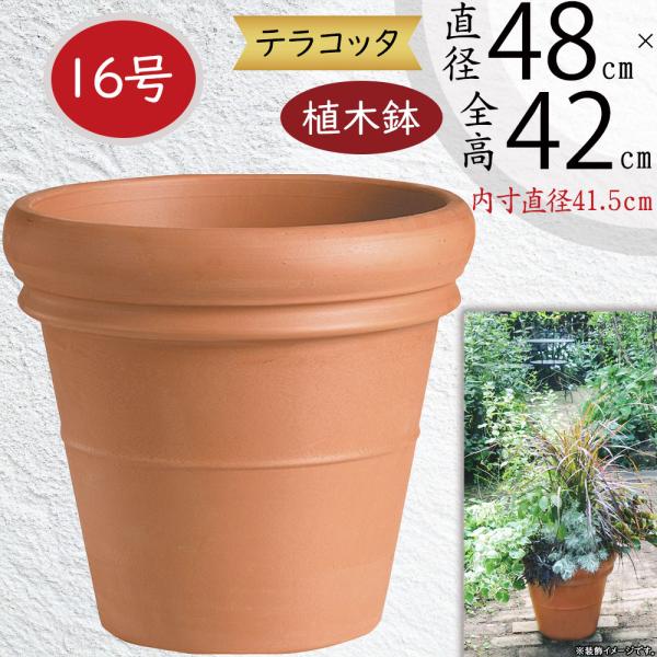 keishin_800pot-rim47
