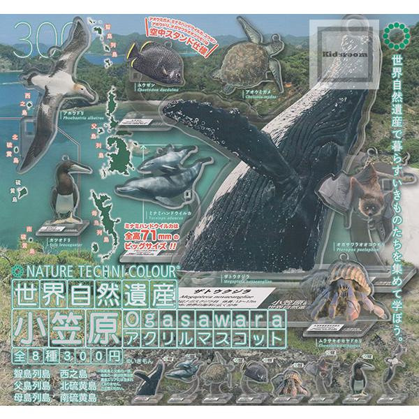 ネイチャーテクニカラー 世界自然遺産 小笠原 アクリルマスコット 全8