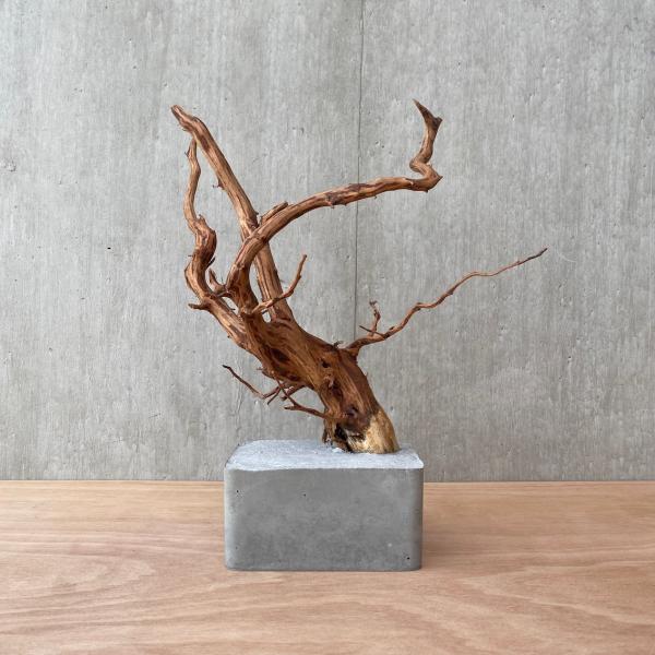 コンクリート盆栽 流木オブジェ】ディスプレイ 什器 アクセサリー