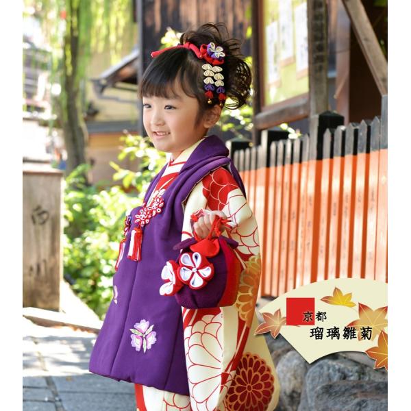 kyotorurihinagiku_9363