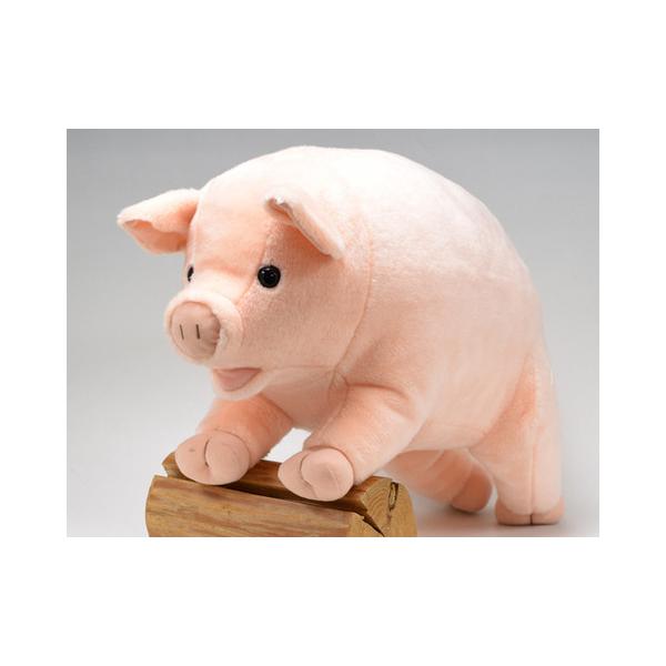 hondastore_dousin-rozi-m