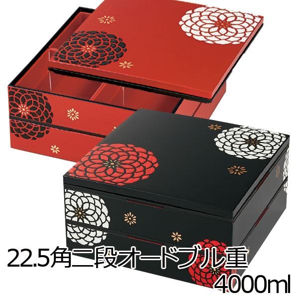 HAKOYA 重箱 2段 おしゃれ レビュー特典有 HAKOYA 22.5角二段