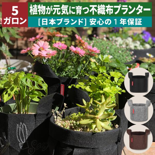 ネセクト] 不織布プランター 5ガロン 6枚入 根域制限 ベランダ栽培
