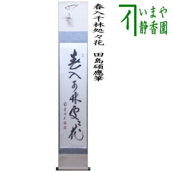 茶道具 掛軸 掛け軸 一行 春入千林処々花 田島碩應筆 茶道 : 茶道具